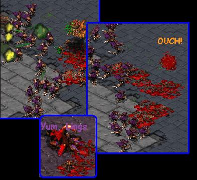 Sabotage_ used Mutalisk and Zerglings to try to kill The-Nut, but it failed. Good try Sabo